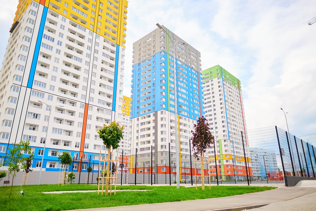 Новая Жизнь 11